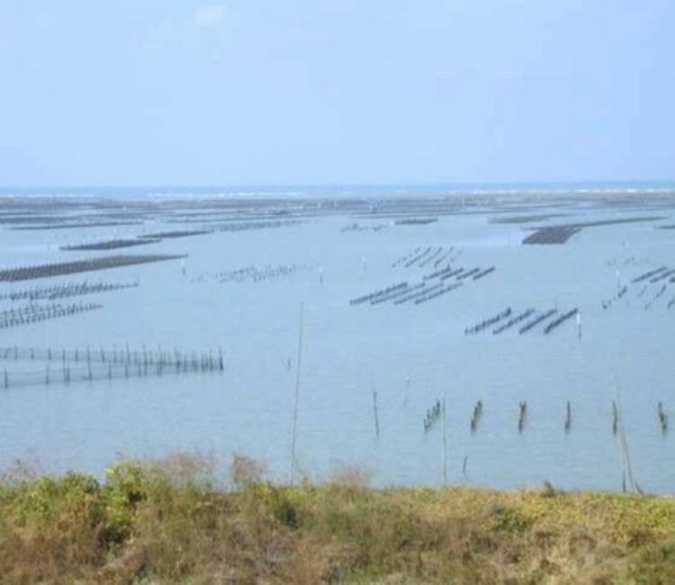 七股潟湖