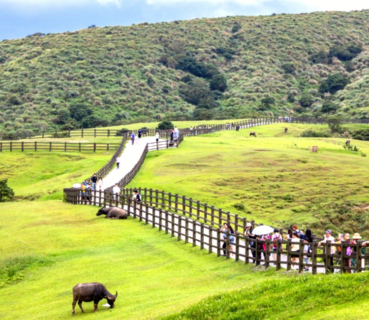 陽明山國家公園