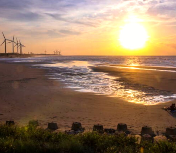 許厝港濕地